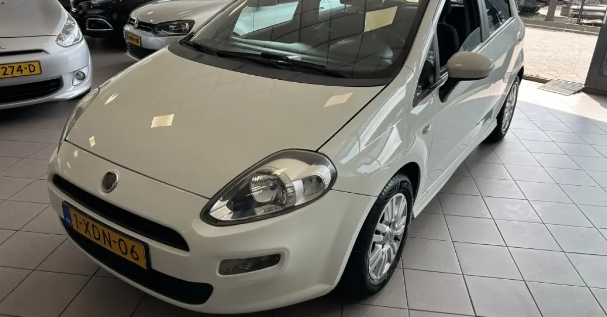 Fiat Punto (2014) — foto 1