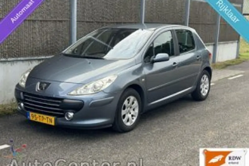 Peugeot 307 (2007)