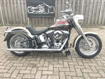 Harley-Davidson Fat Boy (2008) — foto 1