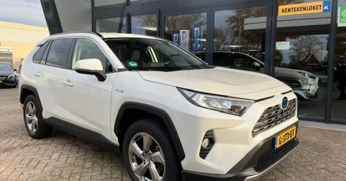 Toyota RAV4 (2019) — foto 1