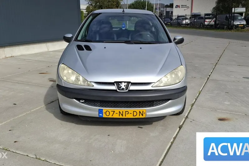 Peugeot 206 (2004)
