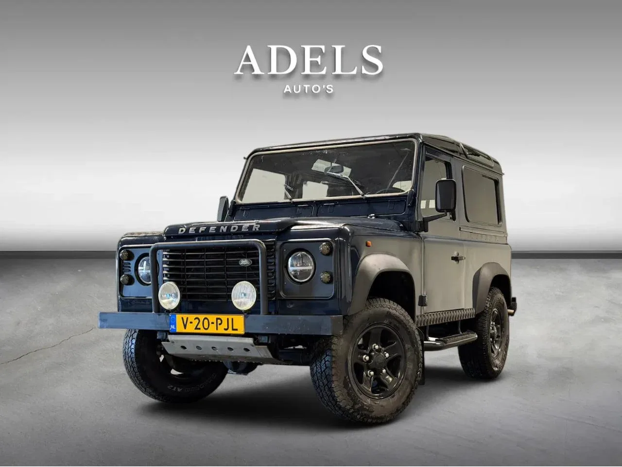 Land Rover LD90 (1996) — foto 1