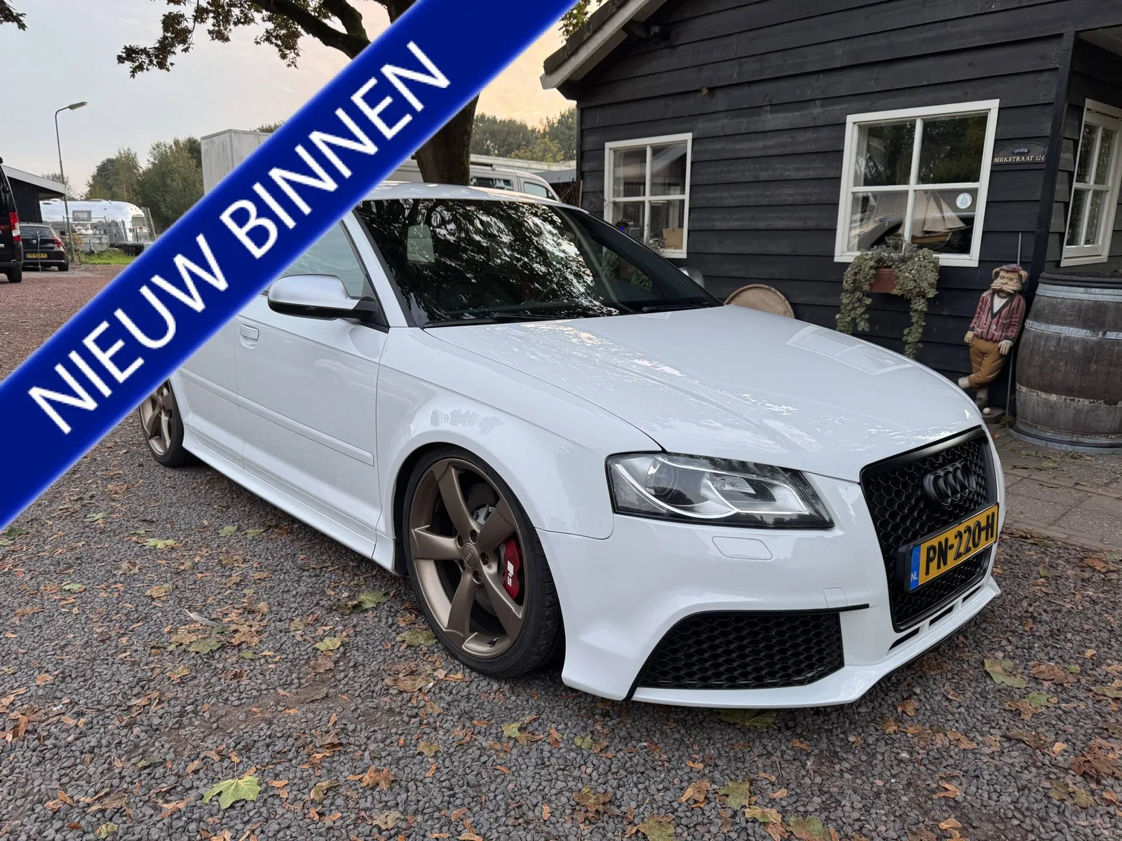 Audi RS 3 (2012) — foto 1