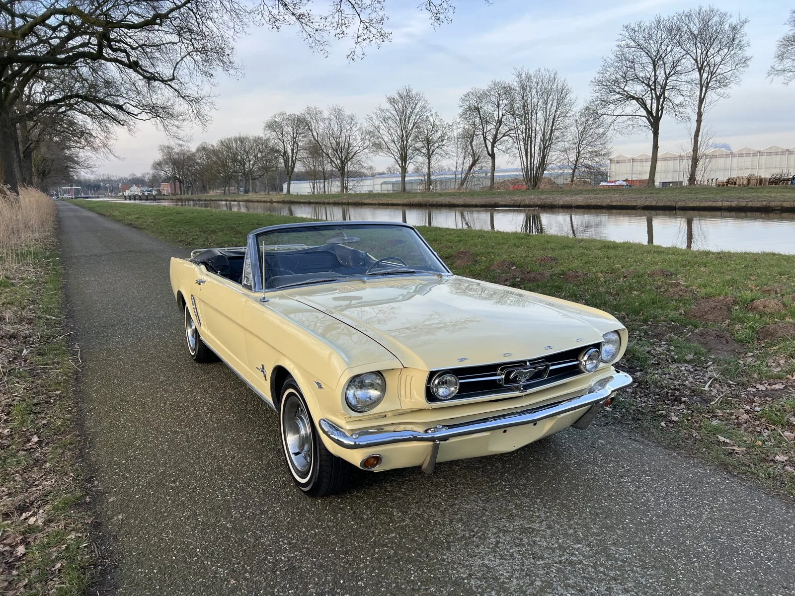Ford Mustang (1965) — foto 1