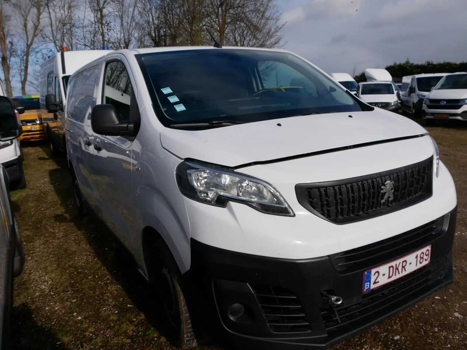 Peugeot Expert 1.5 BlueHDI 100 S&S L2 ENGINE DEFECT (2023) — foto 1