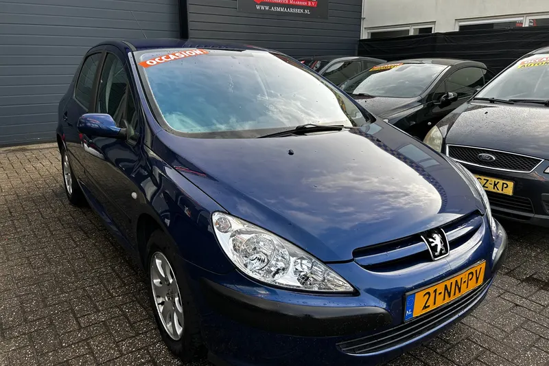 Peugeot 307 (2004)