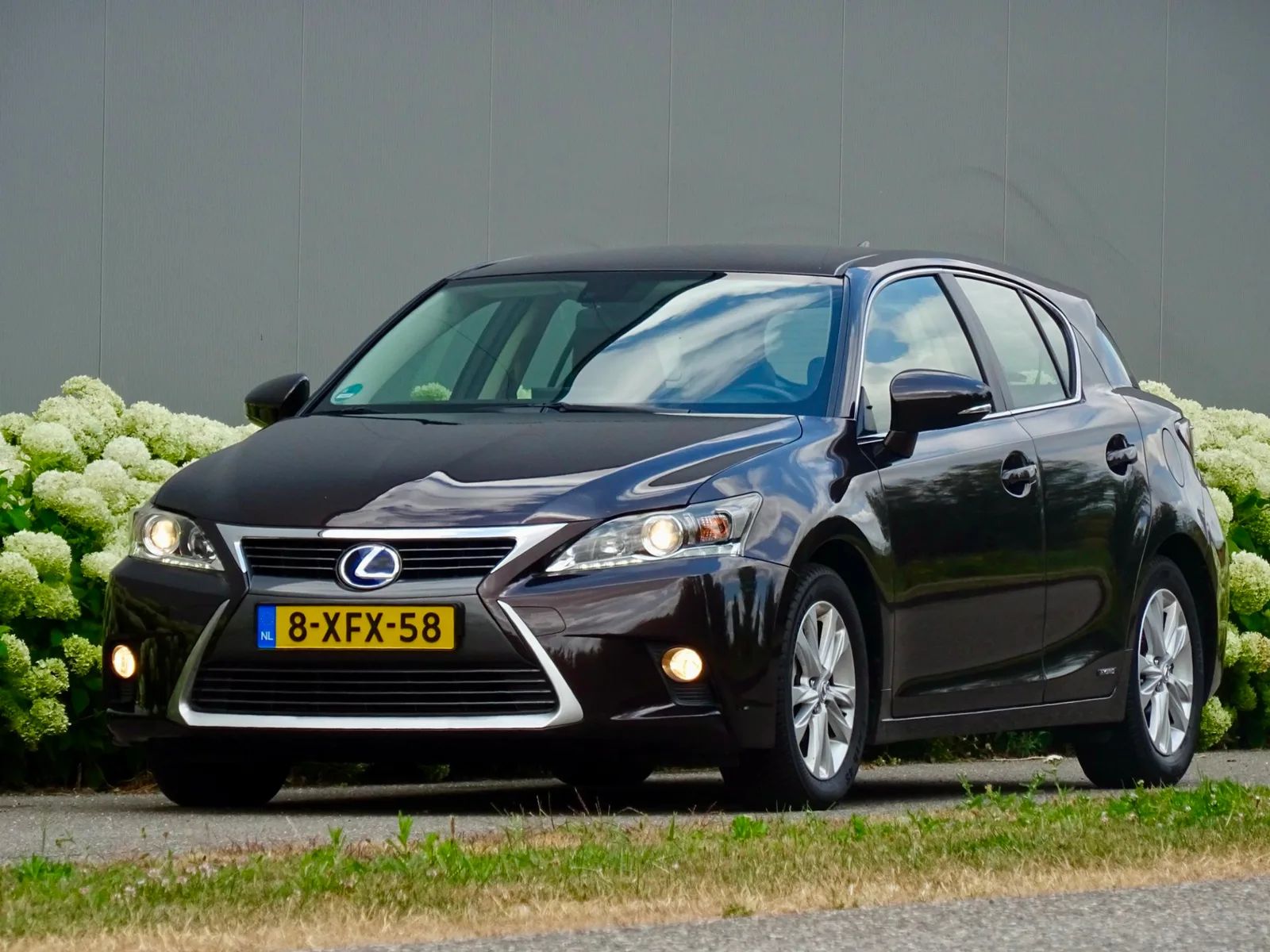 Lexus CT (2014) — foto 1