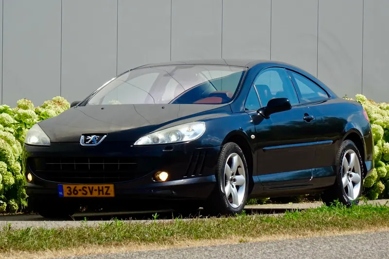 Peugeot 407 (2006)