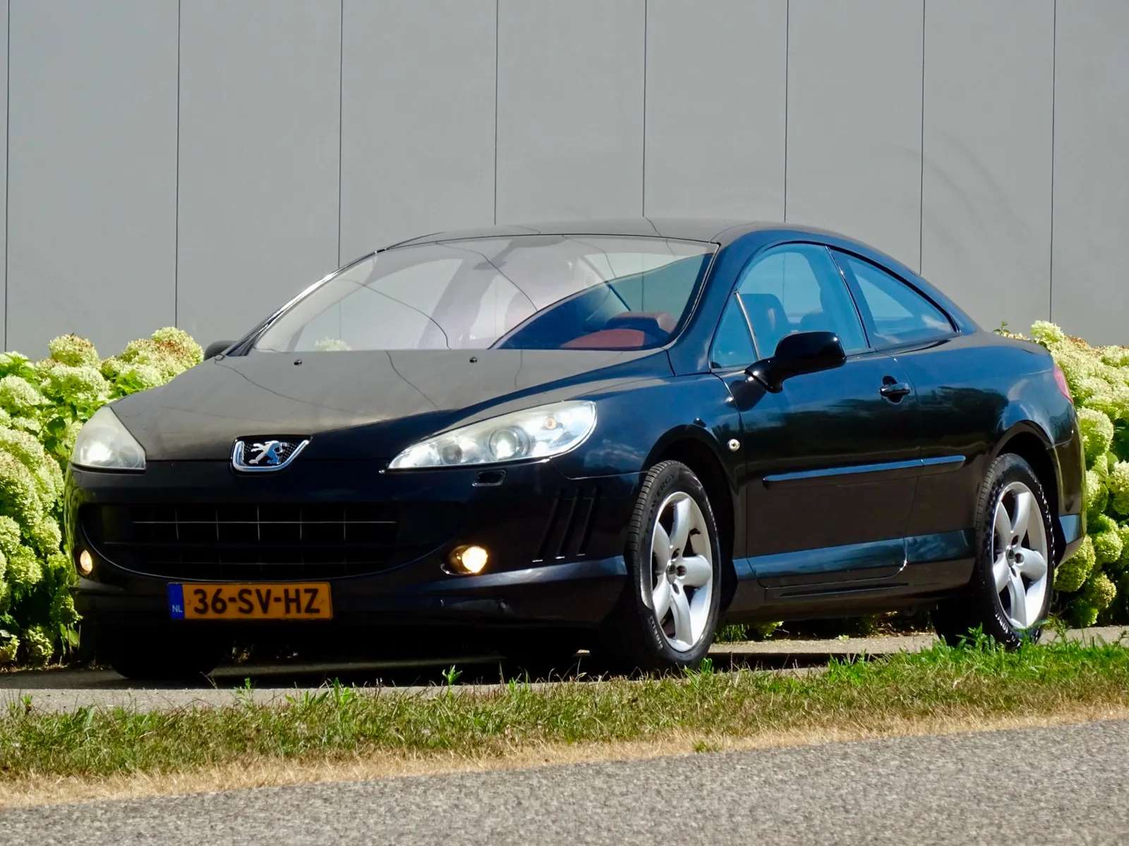 Peugeot 407 (2006) — foto 1