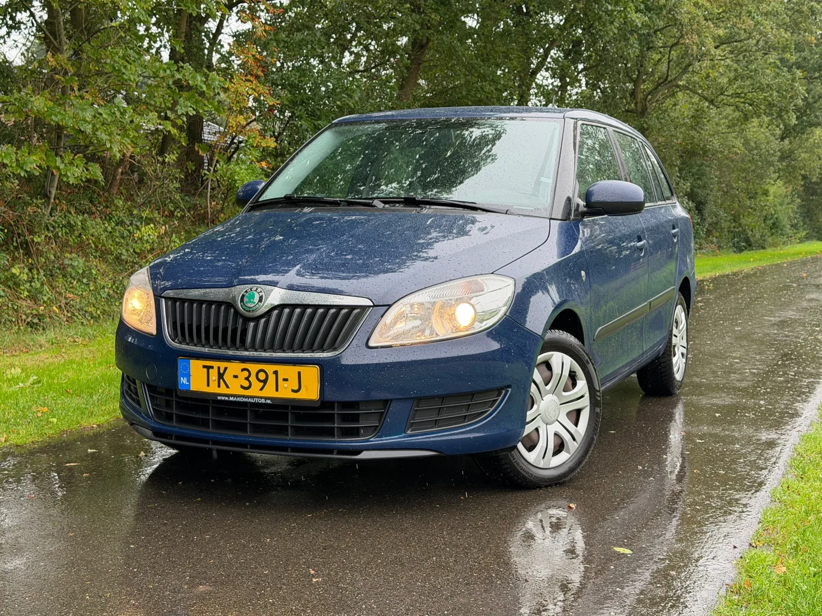 Škoda Fabia (2011) — foto 1