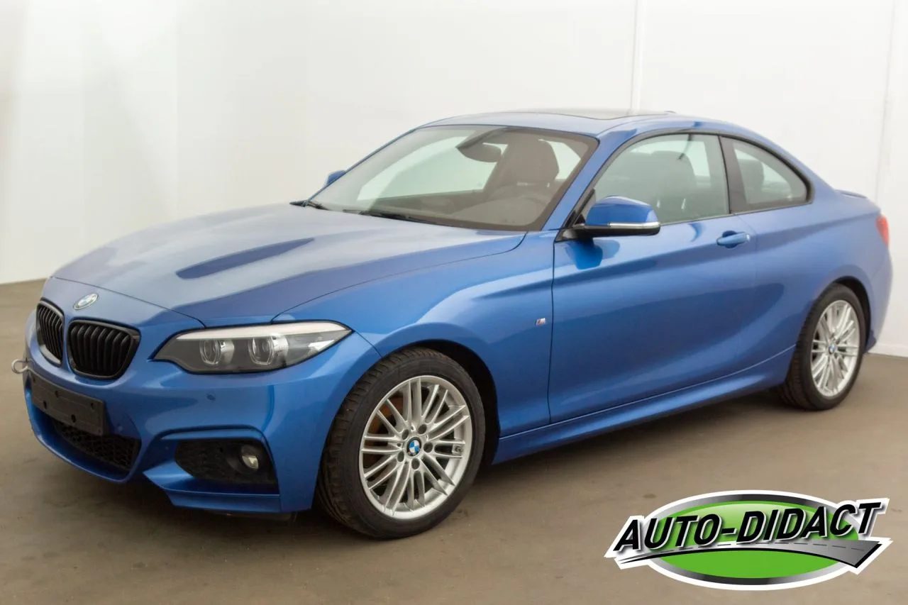BMW 2-Serie (2019) — foto 1