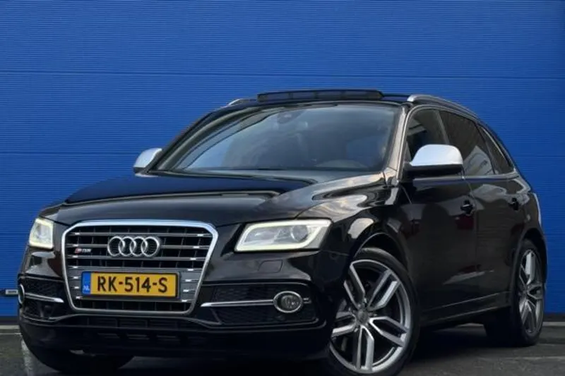 Audi SQ5 (2013)