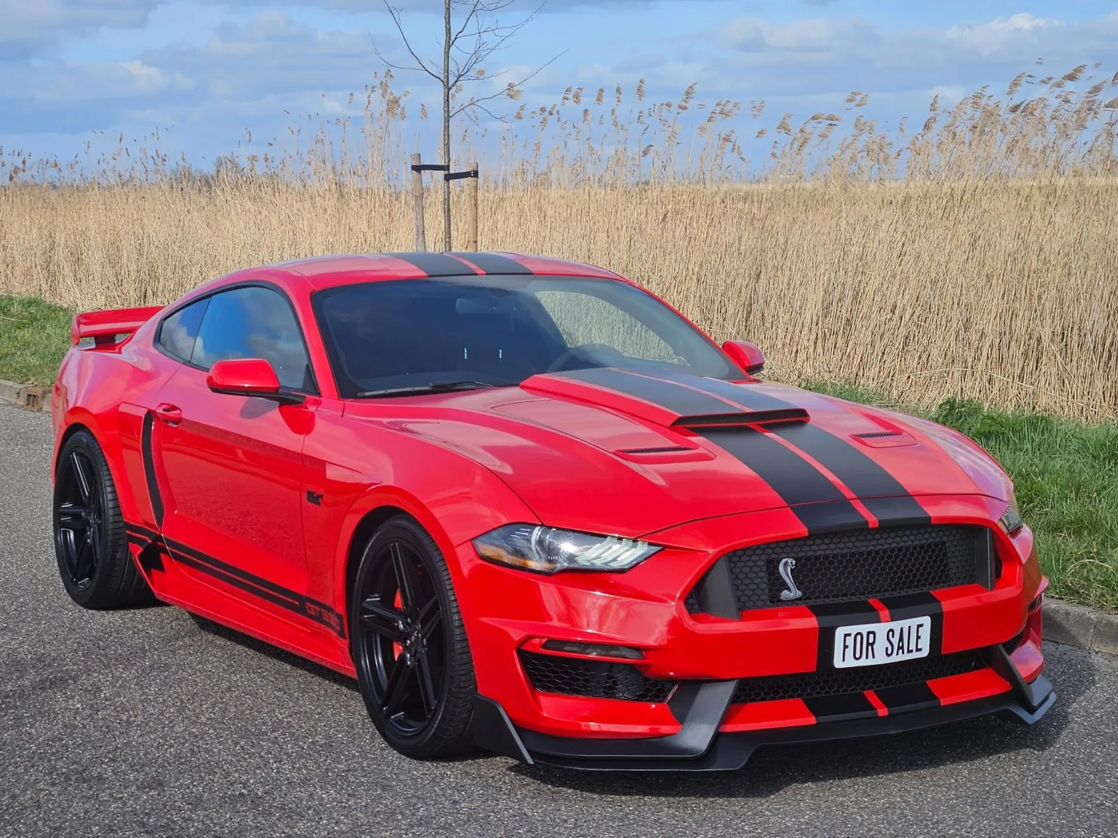 Ford Mustang (2019) — foto 1