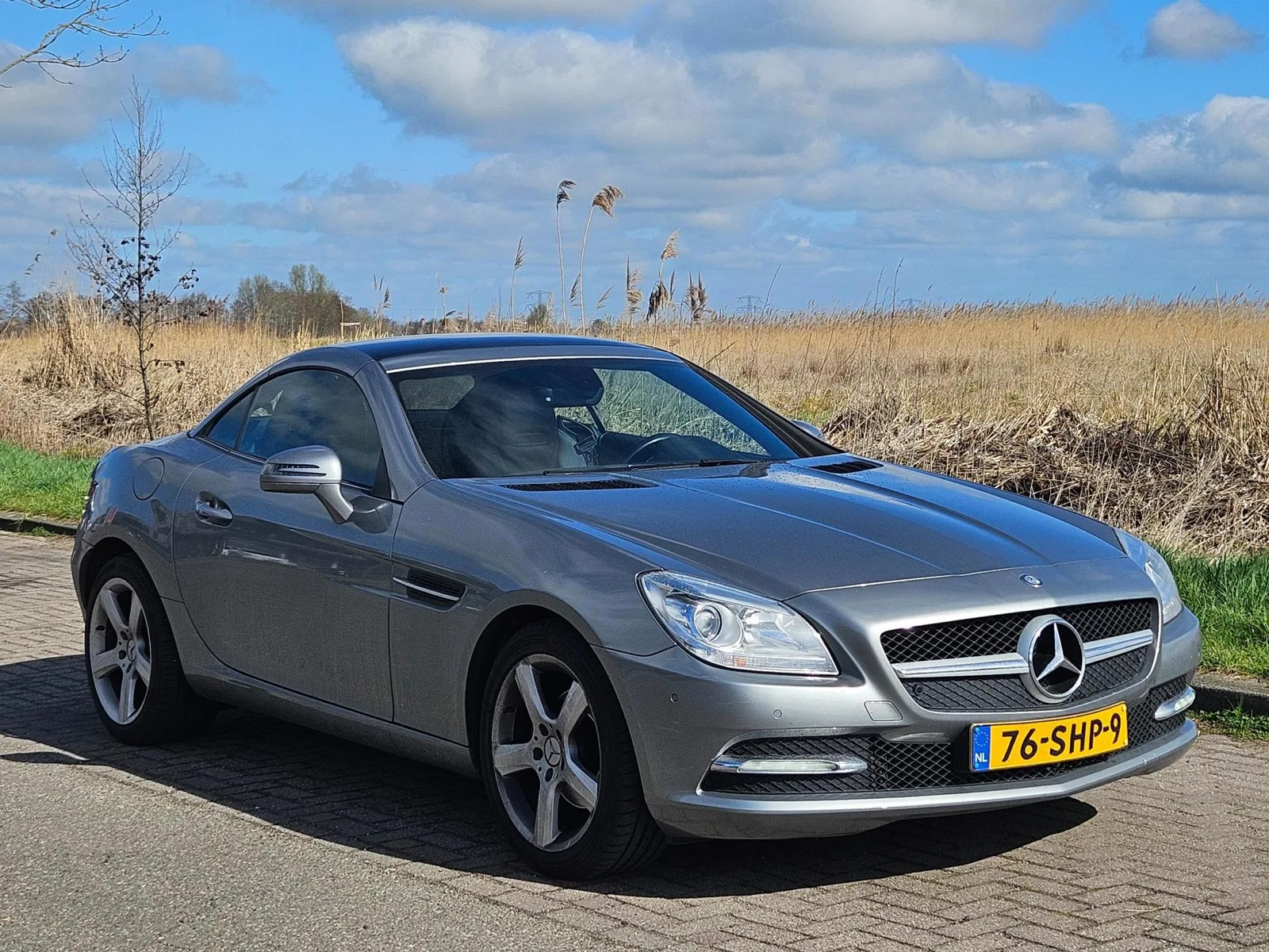 Mercedes-Benz SLK-Klasse (2011) — foto 1