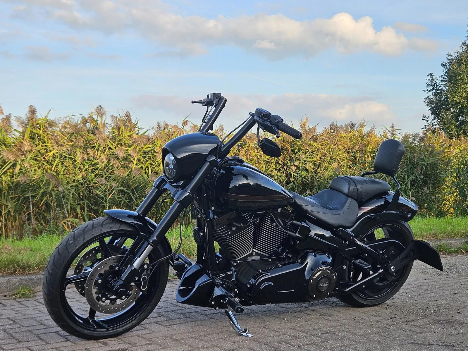 Harley-Davidson Breakout (2017) — foto 1