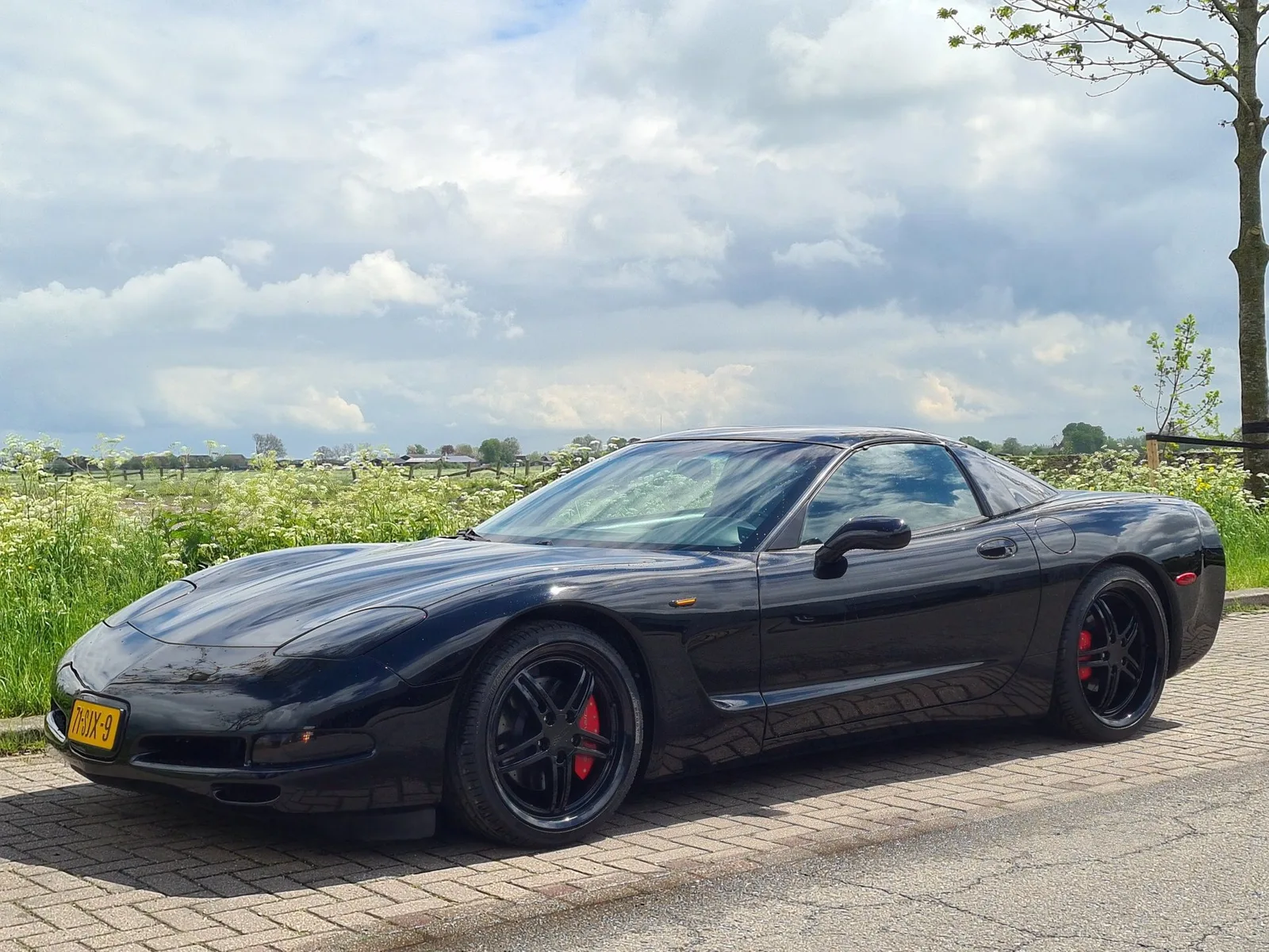 Chevrolet Corvette (1997) — foto 1