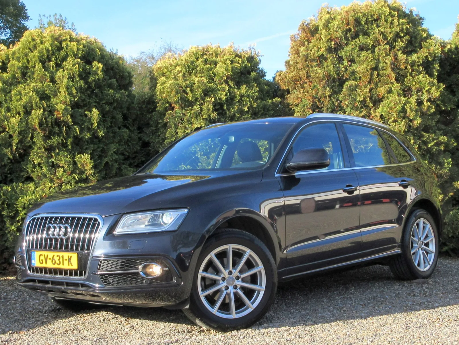 Audi Q5 (2015) — foto 1