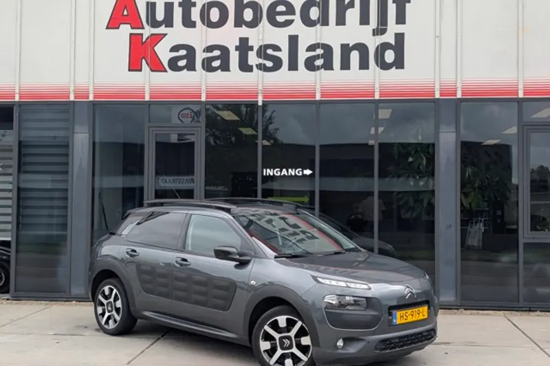 Citroën C4 Cactus (2015)