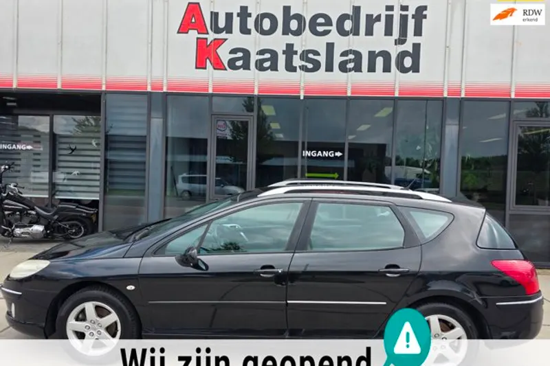 Peugeot 407 (2008)