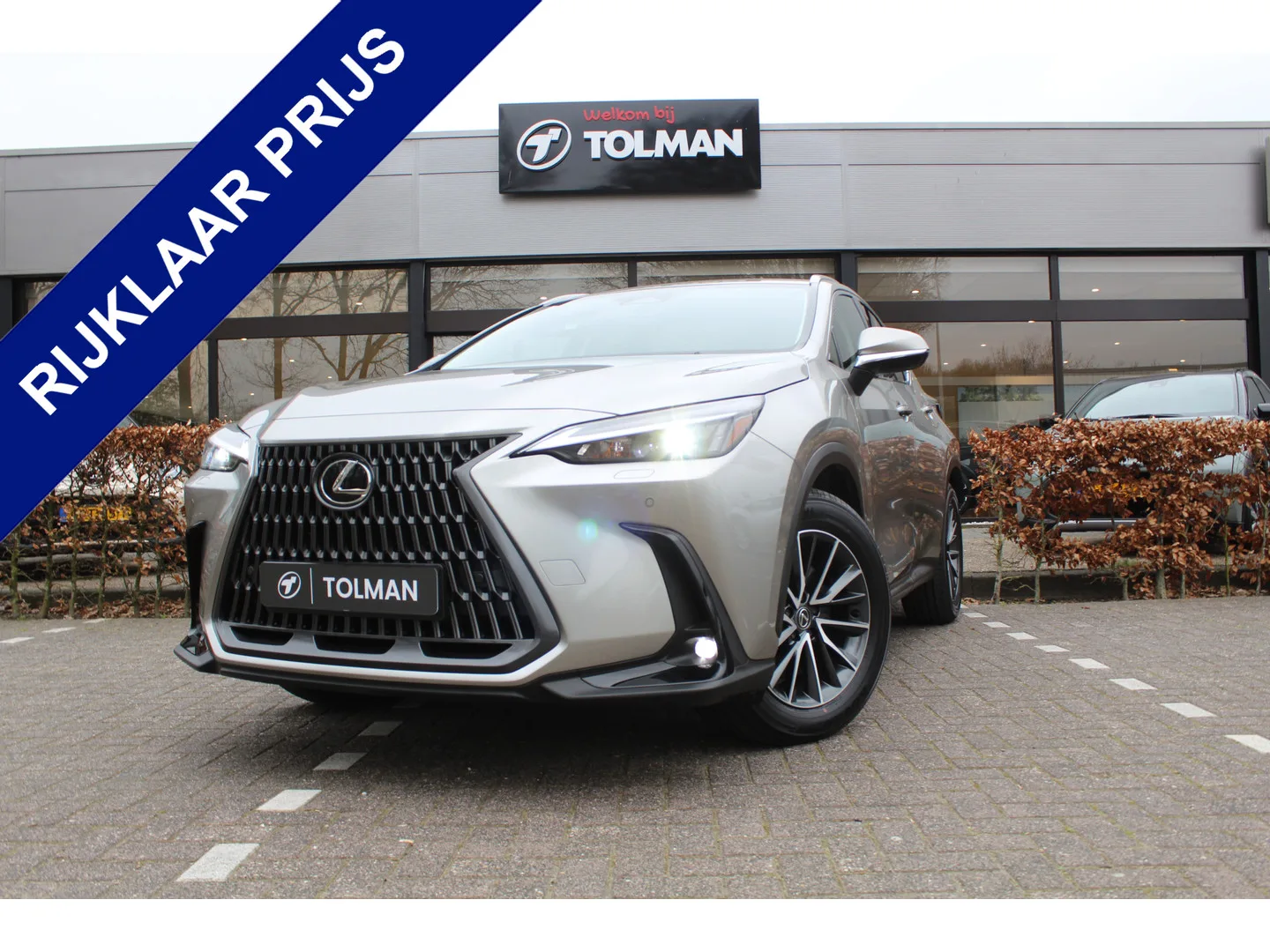 Lexus NX (2025) — foto 1