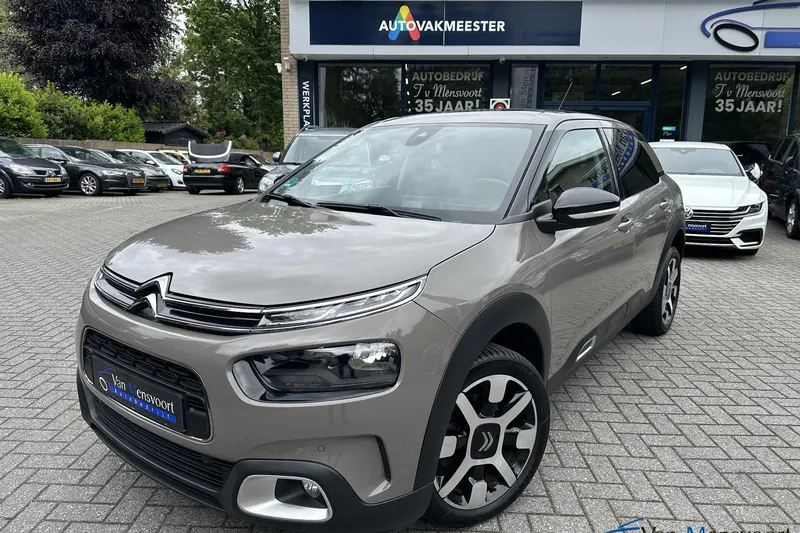 Citroën C4 Cactus (2019)