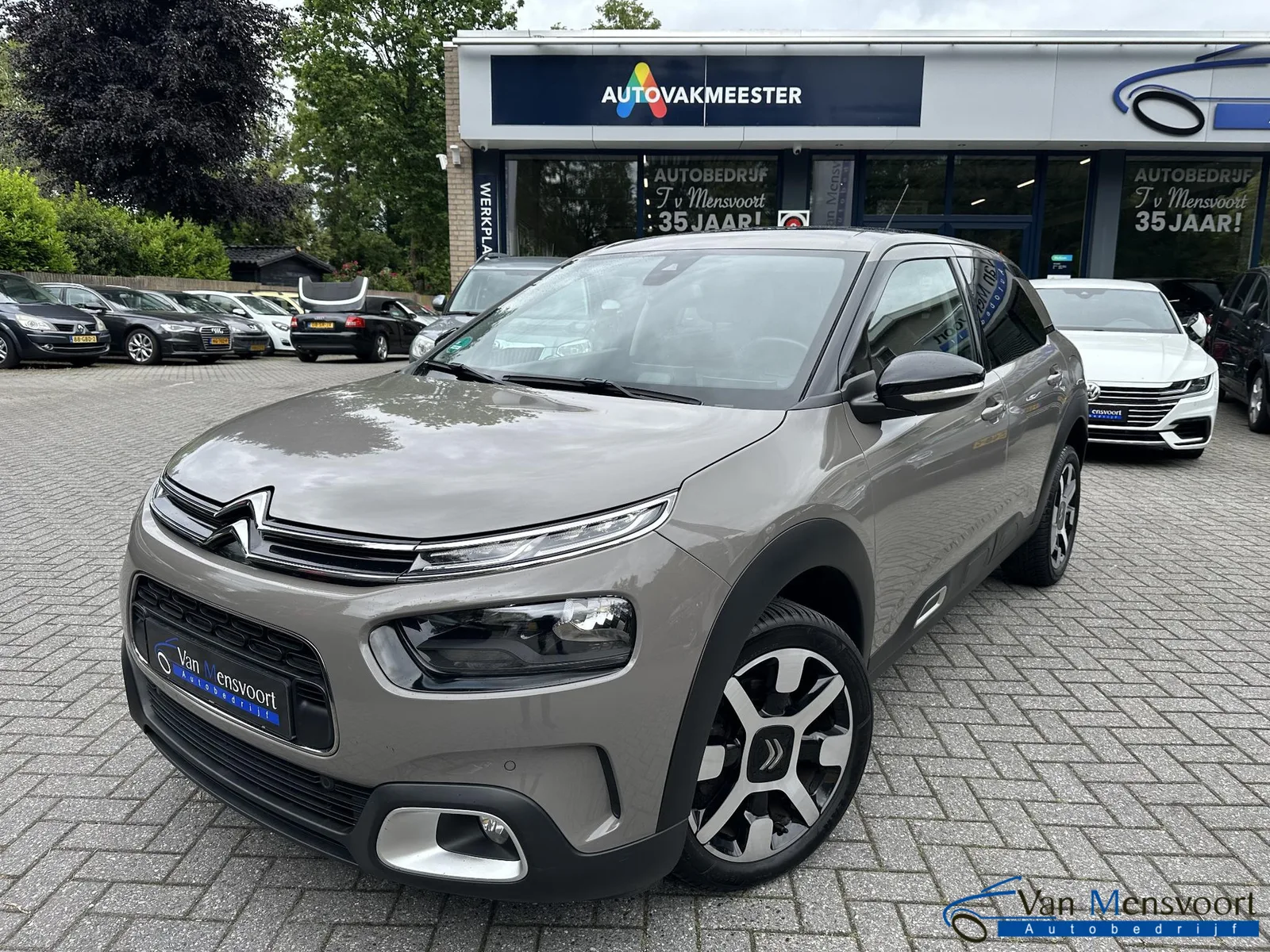 Citroën C4 Cactus (2019) — foto 1