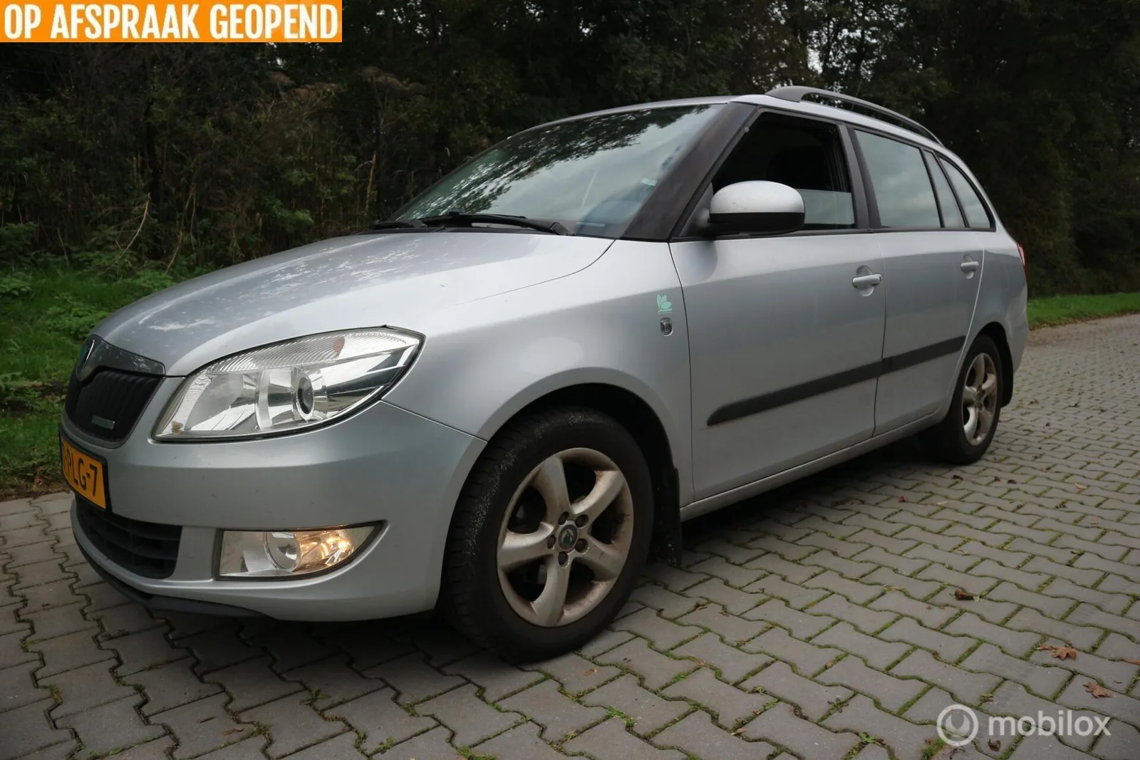 Škoda Fabia (2011) — foto 1