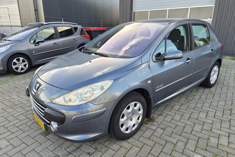 Peugeot 307 (2006)