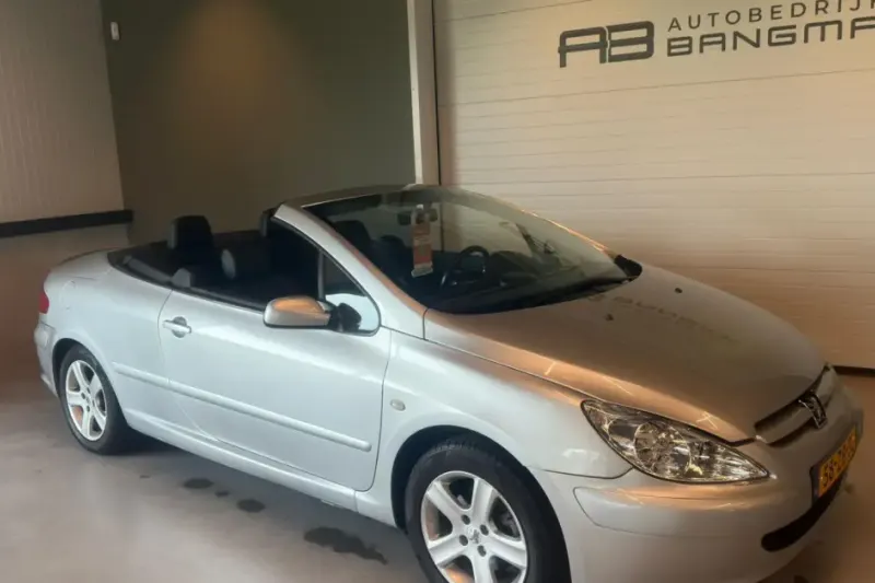 Peugeot 307 (2004)