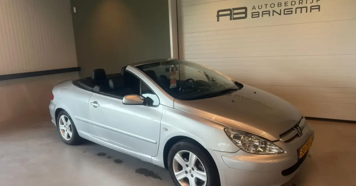 Peugeot 307 (2004) — foto 1