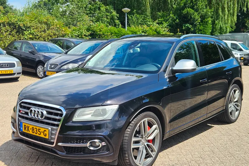 Audi SQ5 (2013)