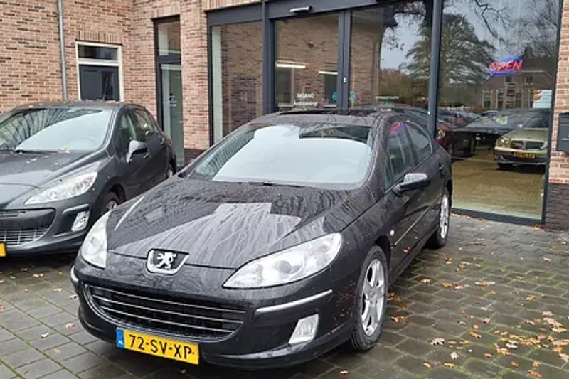 Peugeot 407 (2006)