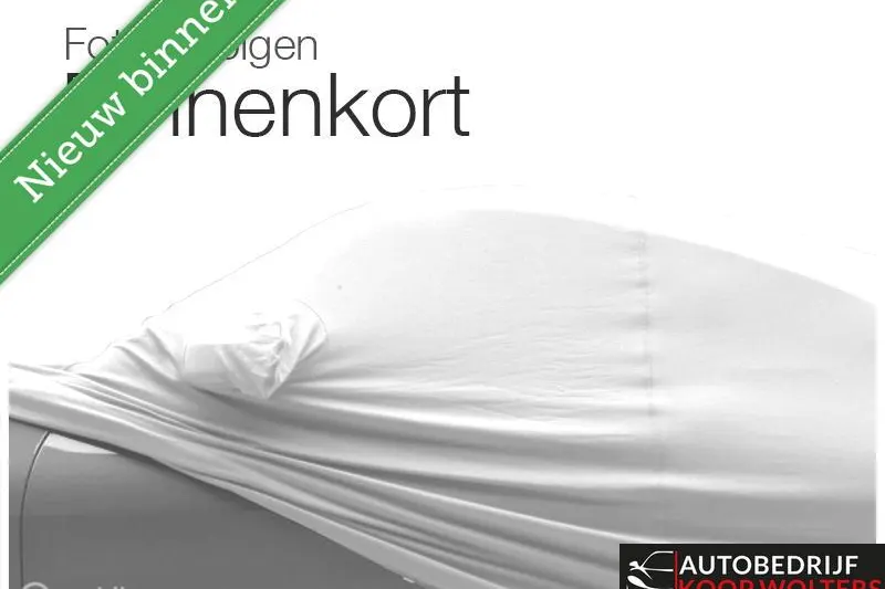 Volkswagen Beetle (2013)