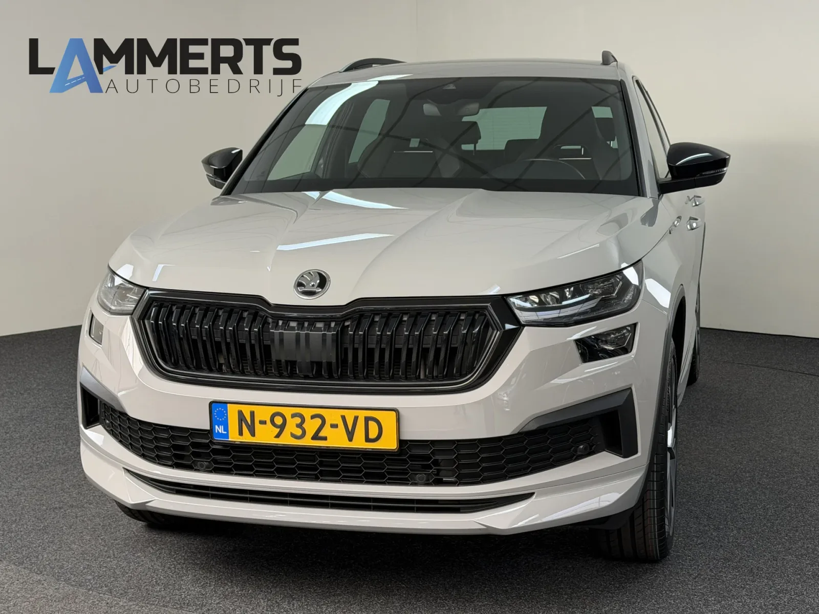 Škoda Kodiaq (2022) — foto 1