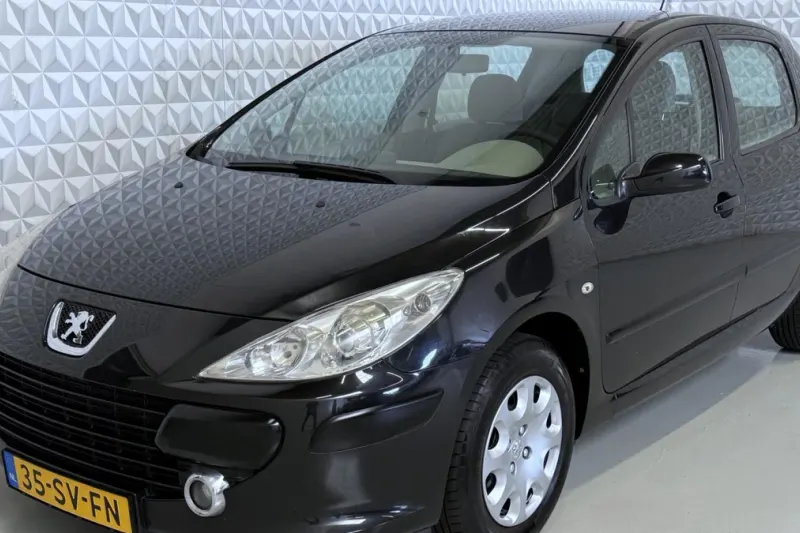 Peugeot 307 (2006)