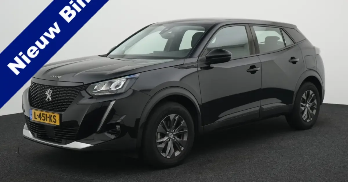 Peugeot e-2008 (2021) — foto 1