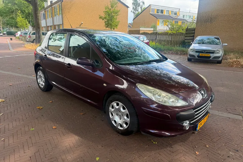 Peugeot 307 (2006)