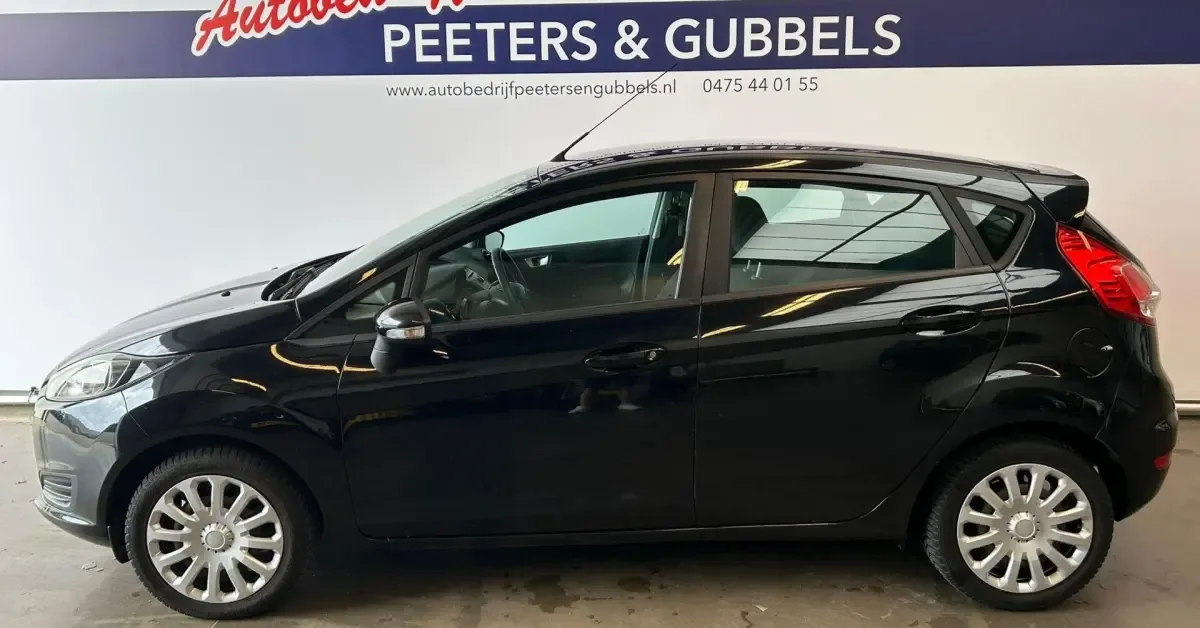 Ford Fiesta (2013) — foto 1