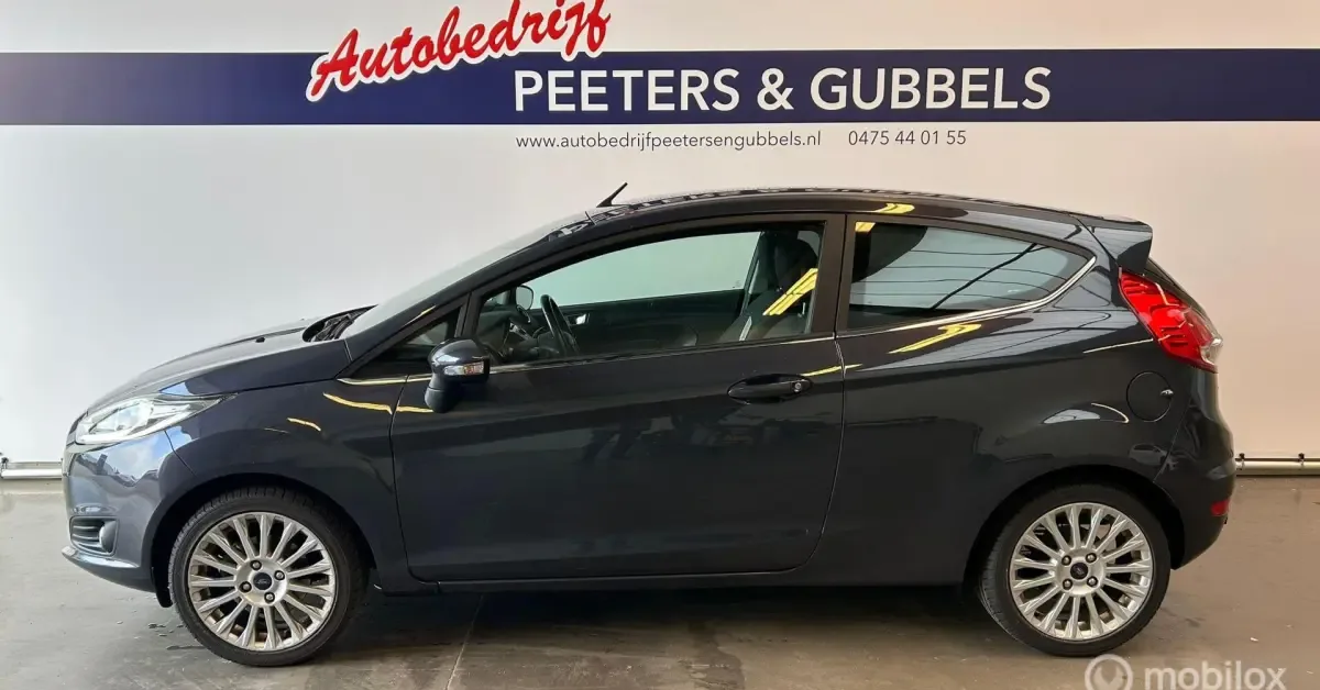 Ford Fiesta (2014) — foto 1
