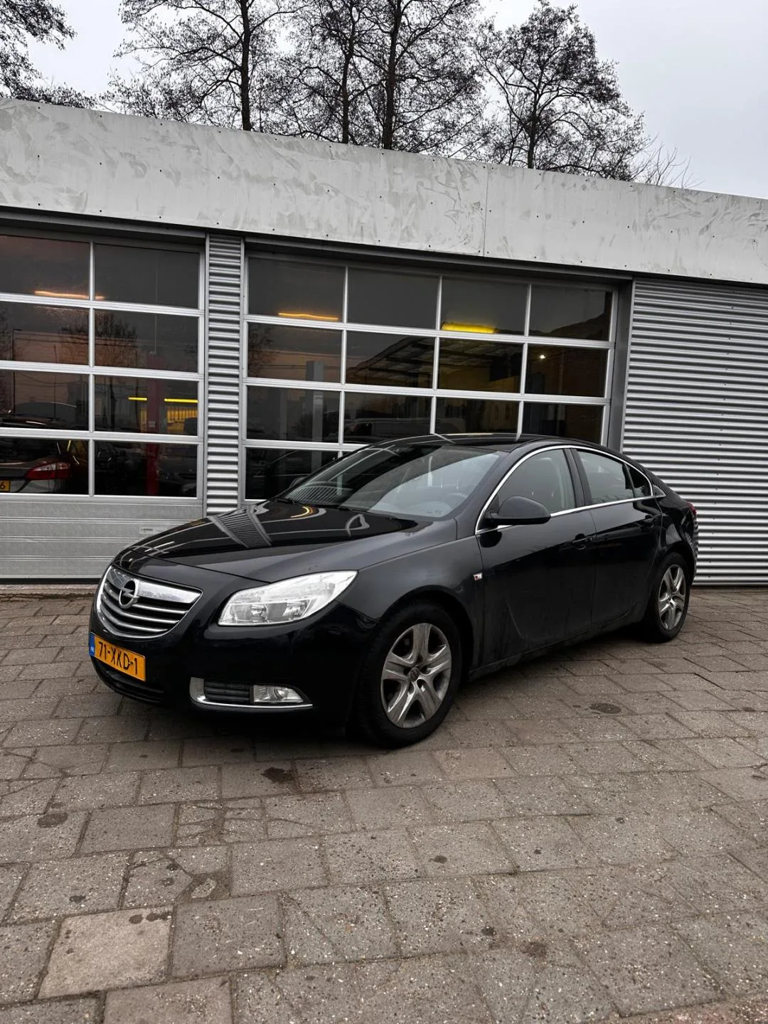 Opel Insignia (2012) — foto 1