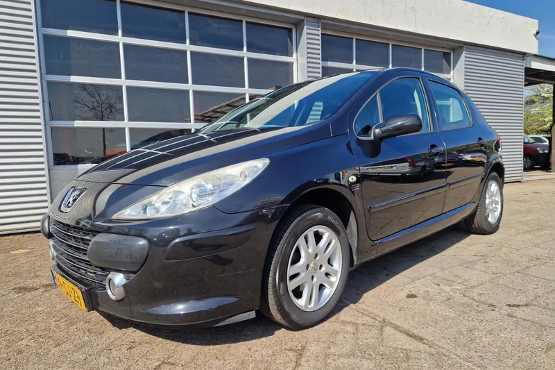 Peugeot 307 (2006)