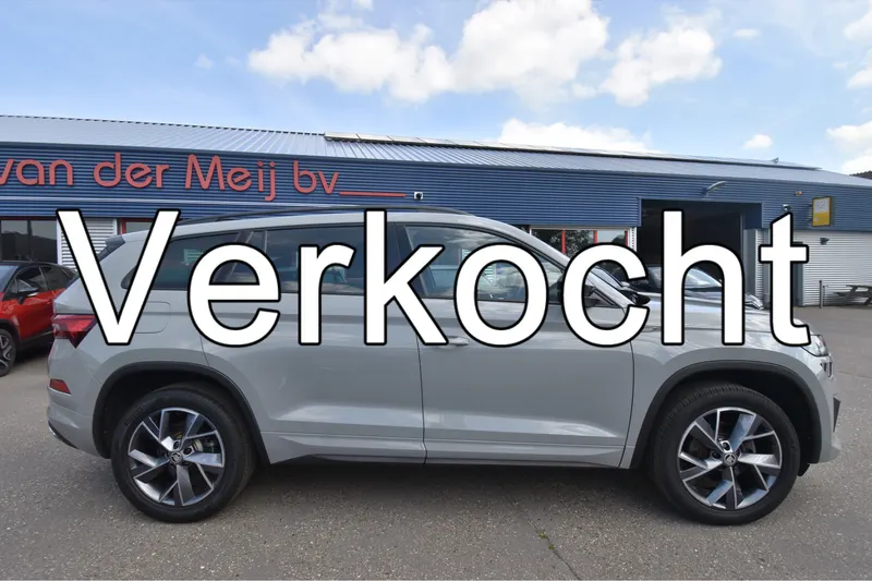 Škoda Skoda Kodiaq 1 5 (2021)