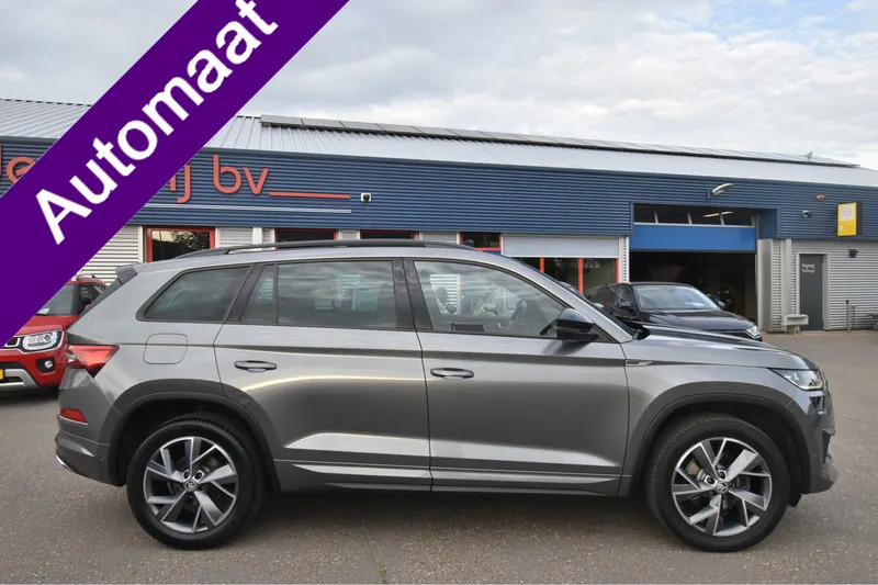 Škoda Skoda Kodiaq 1 5 (2022)