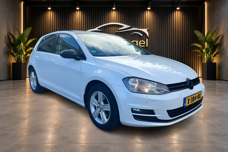 Volkswagen Golf (2013)
