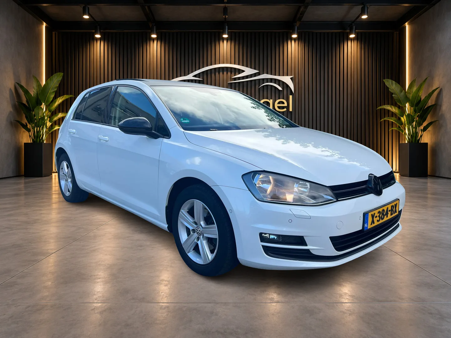Volkswagen Golf (2013) — foto 1
