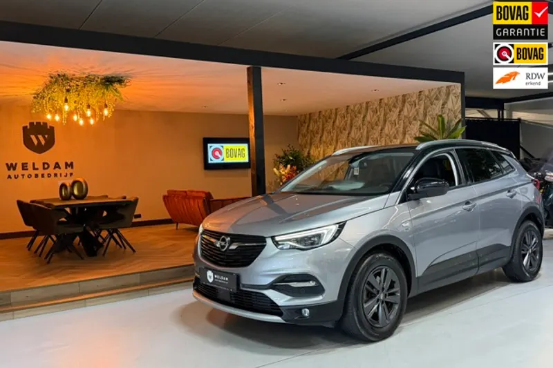 Opel Grandland X (2019)