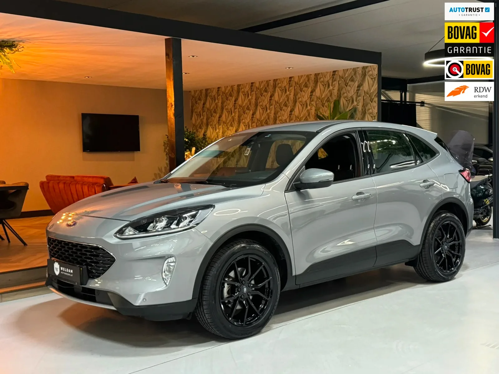 Ford Kuga (2024) — foto 1