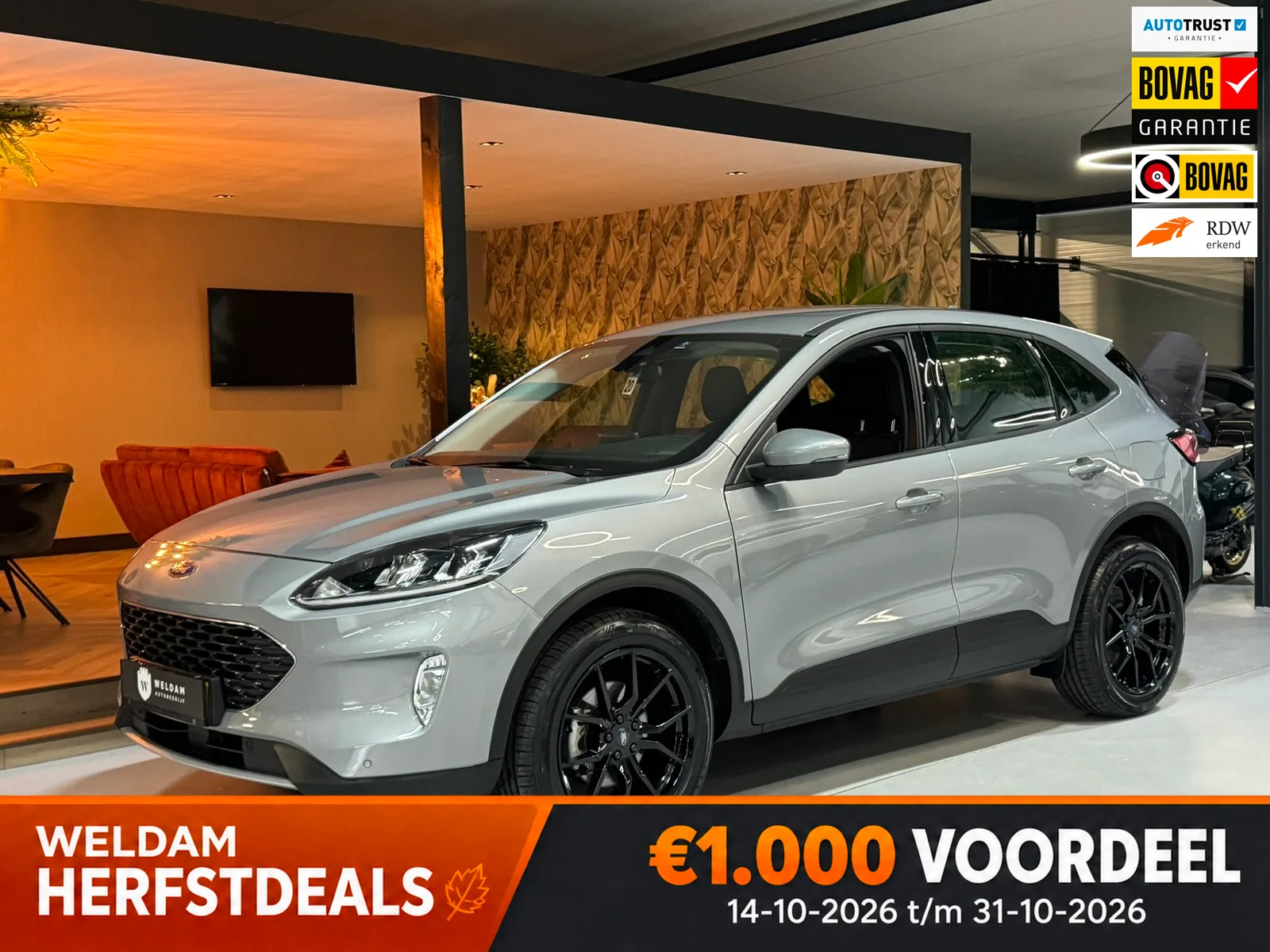 Ford Kuga (2024) — foto 1