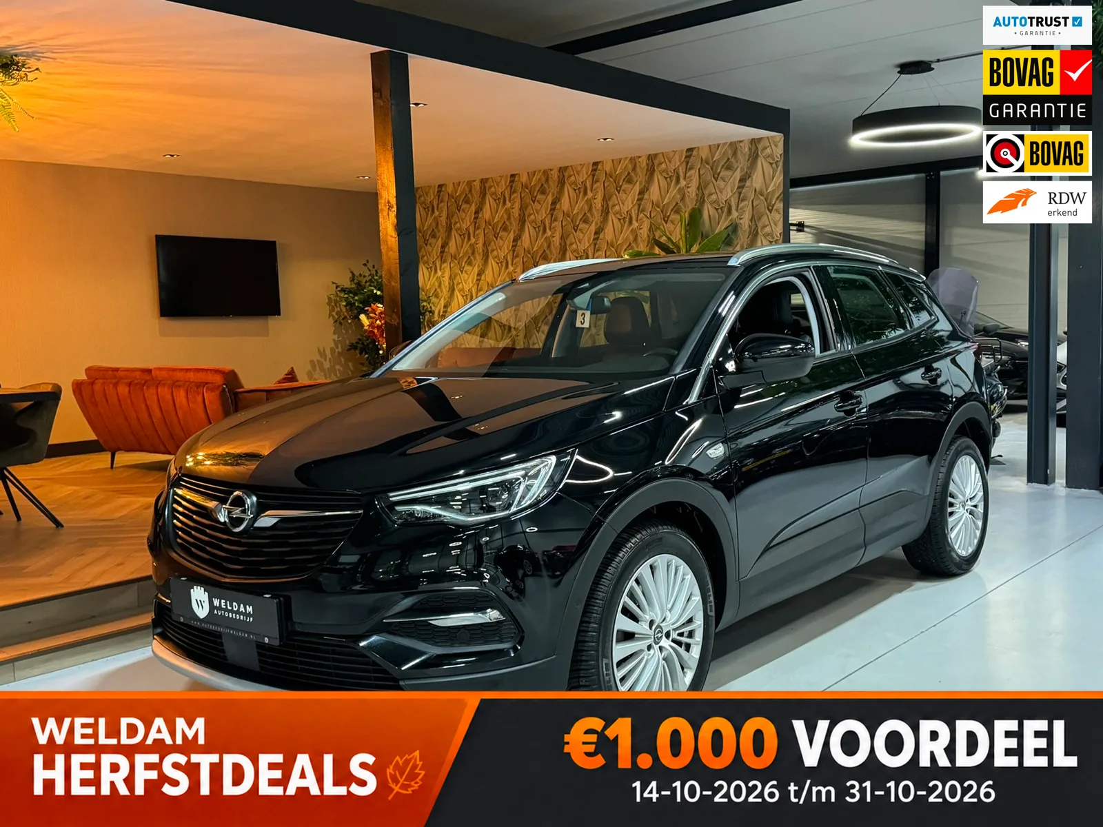 Opel Grandland (2019) — foto 1