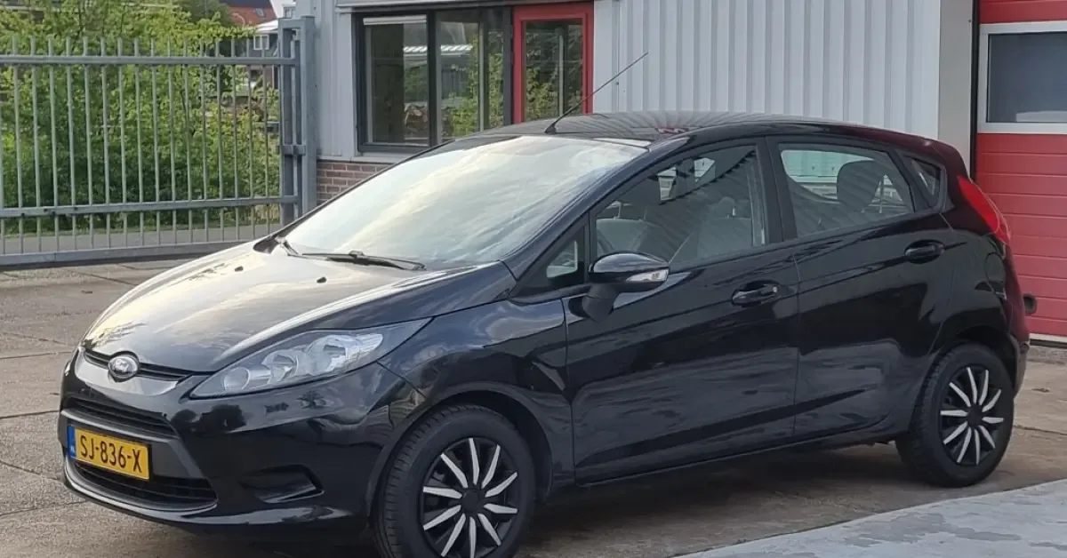 Ford Fiesta (2009) — foto 1